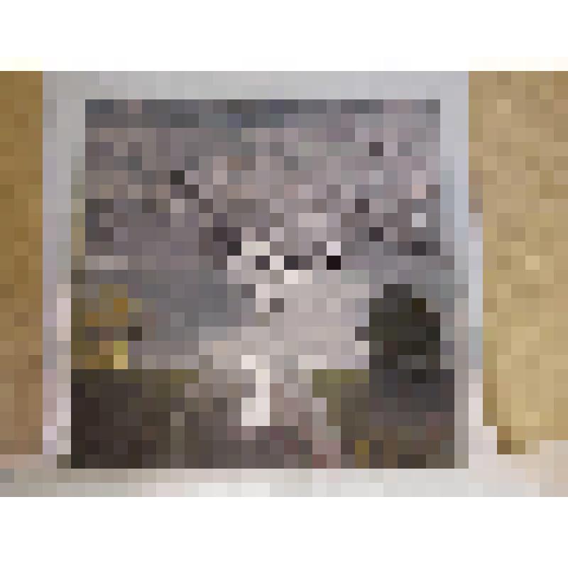 Эскиз декораций. "Нина у озера"