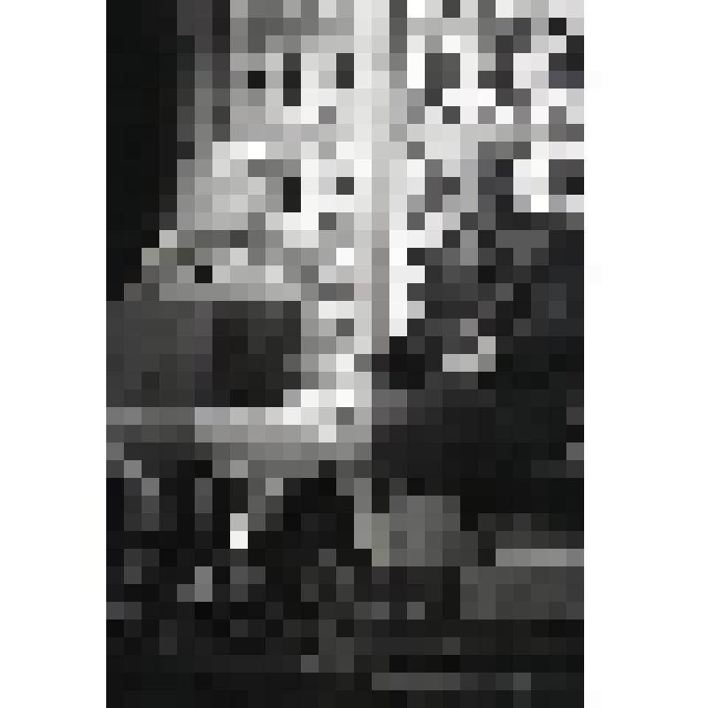 Негатив черно-белый. Ферапонт - Киндинов Е.А.;  Прозоров - Брусникин Д.В. "Три сестры" (1997 - 2003)