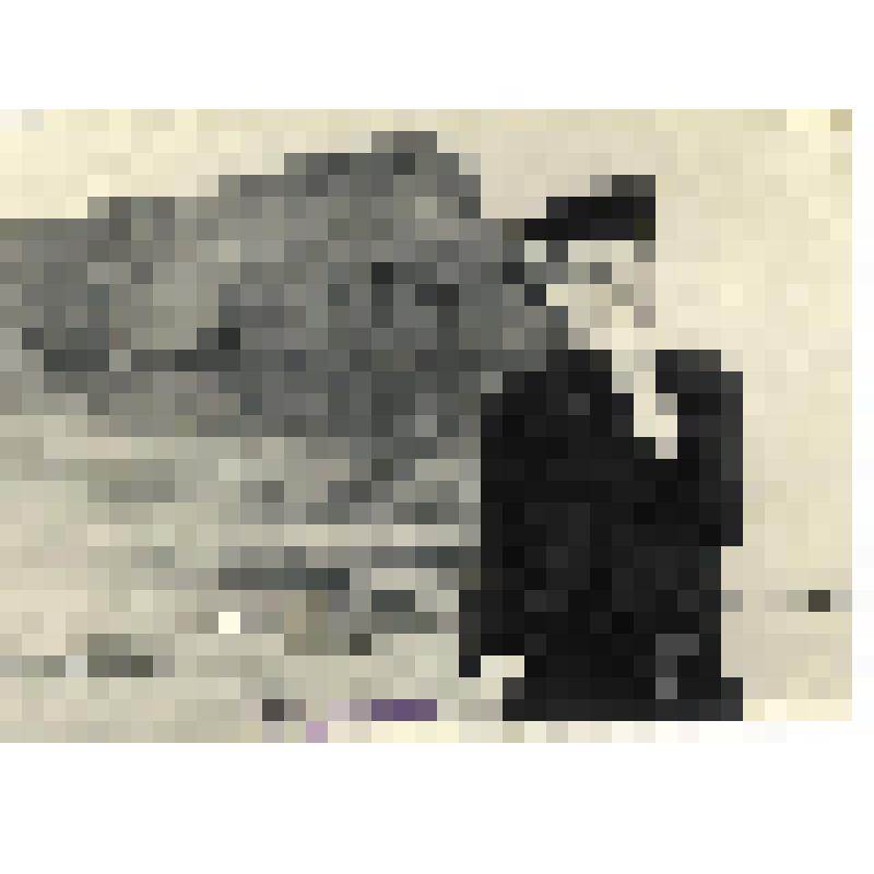 Фотография. Моторист ГПБ № 452 И.Иванов