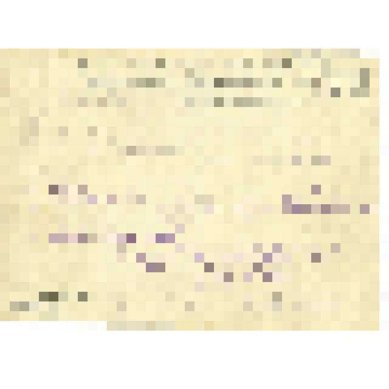 Фотография. Моторист ГПБ № 452 И.Иванов