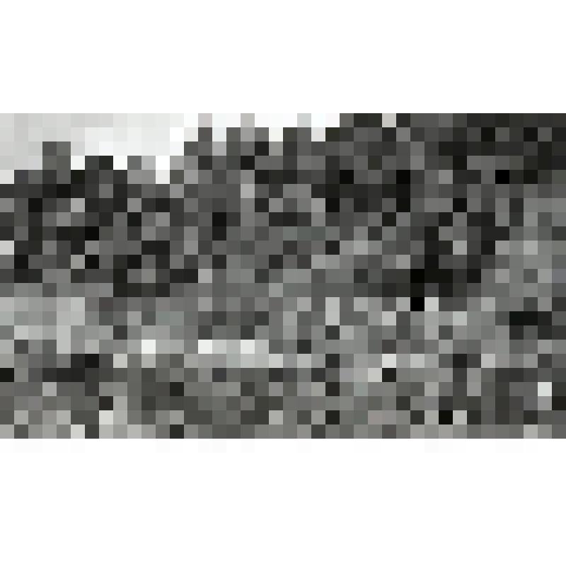 негатив. Береговой склон Калининградского залива