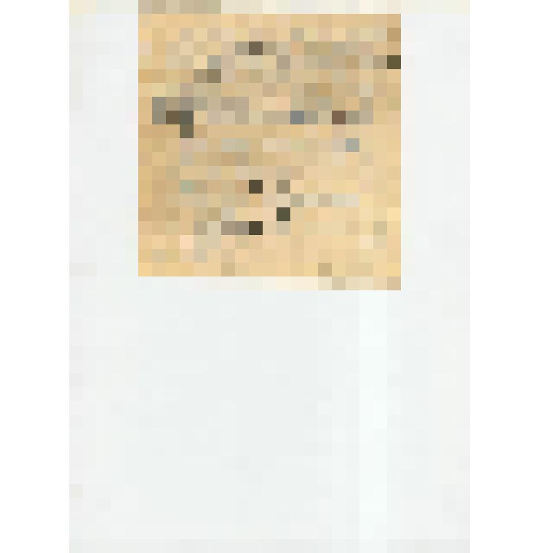 Документ. Письма жене и детям Ленинградского фронта Салкова Афанасия Абрамовича