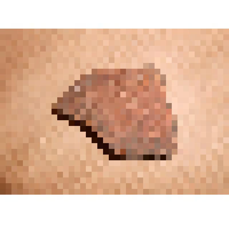 Фрагмент стенки гончарного сосуда