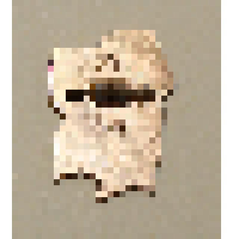 Значок с изображением В.И. Ленина