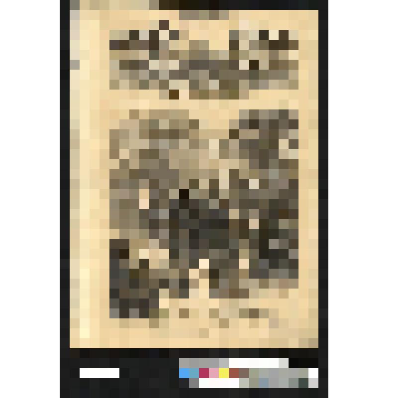 Лист из журнала "The illustrated London News". Сцена в тюремном дворе