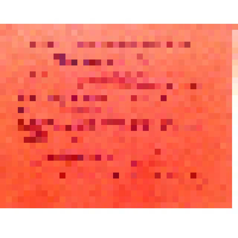 Мандат № 72 Костенко И.И