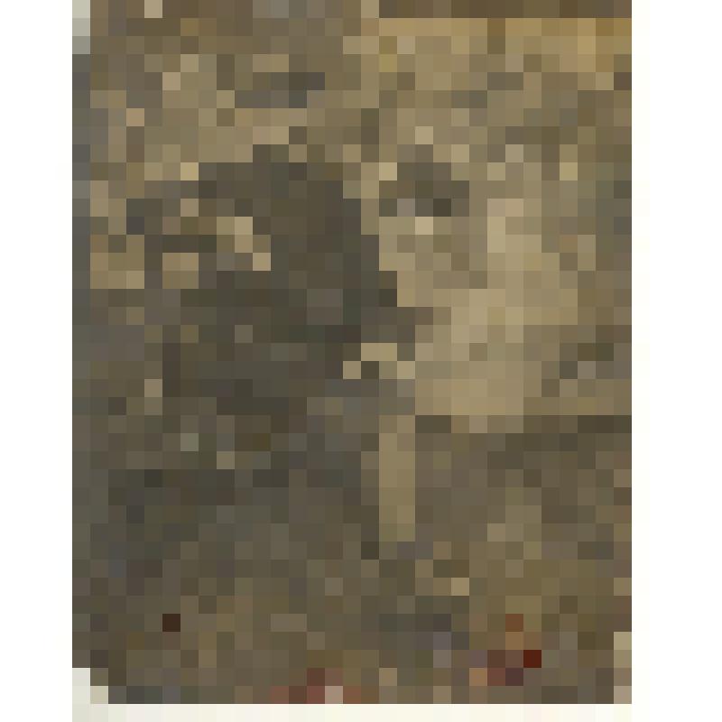 Фотография: Батищев И.К., старейший член коммуны "Социализм"