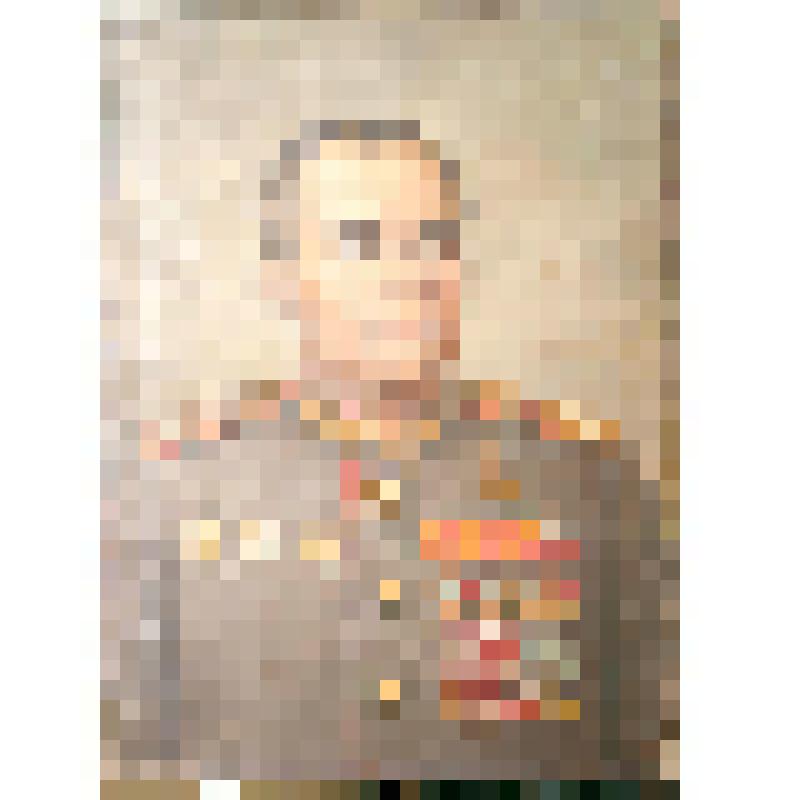 Портрет. К.А.Мерецков (1897-1968). Картина
