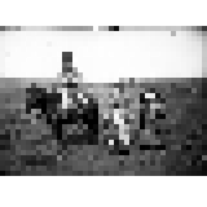 Негатив на стекле: Улус Синявинский; сваха сагайка и девушка