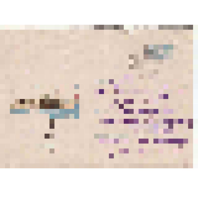 Письмо  родителям И. Щипанова