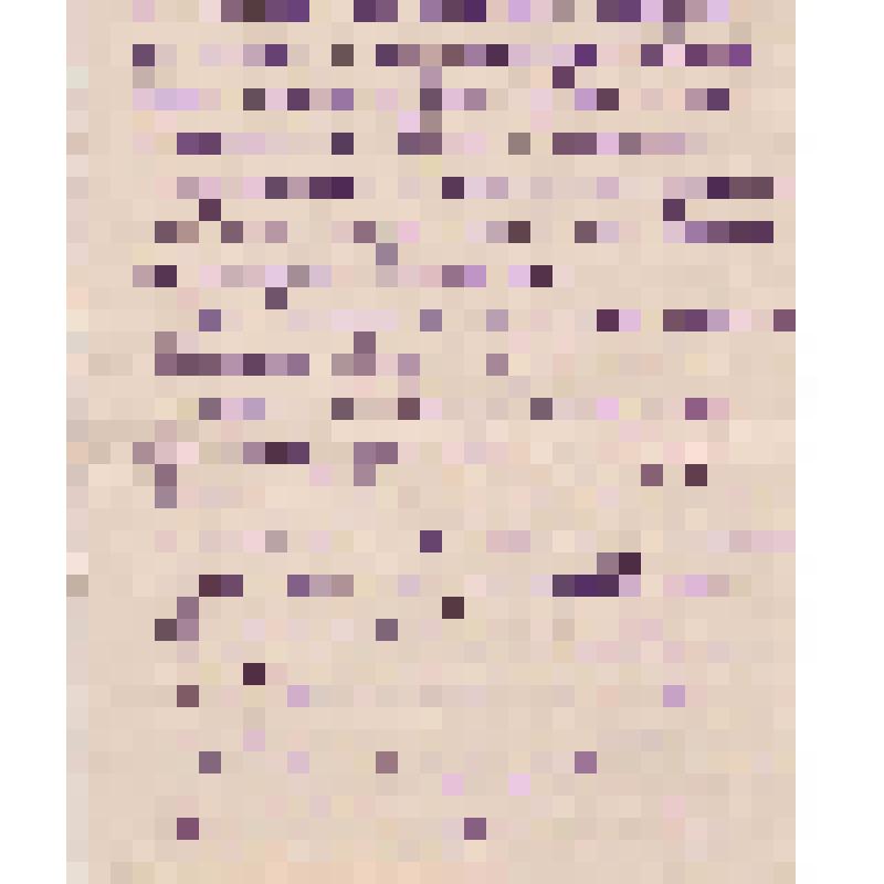 Письмо  родителям И. Щипанова