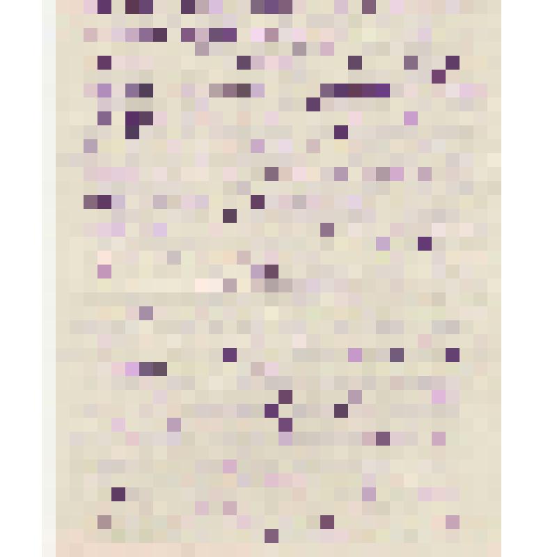 Письмо  родителям И. Щипанова