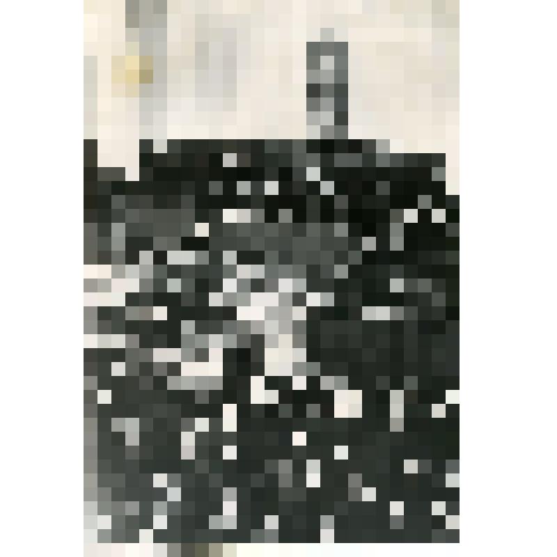 Открытие I съезда писателей РСФСР