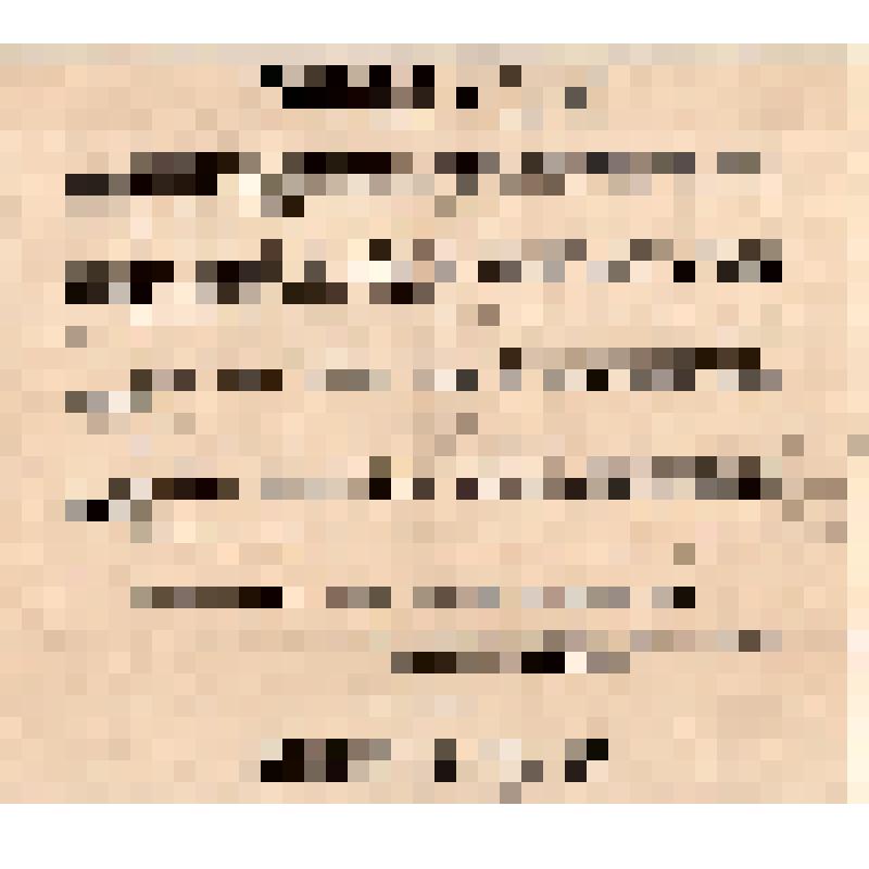 Исполнительный комитет Ревельского совета рабочих и воинских депутатов. Товарищи!