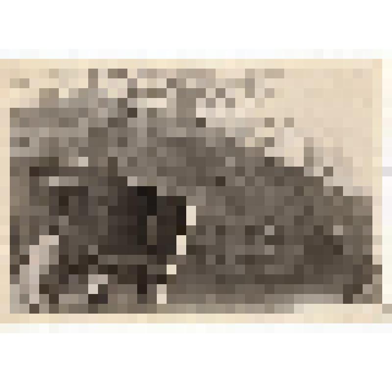 Ф/чб/коллаж. Детские ясли г. Бальцер (здание, дети на качелях). АССРНП.  апрель1941