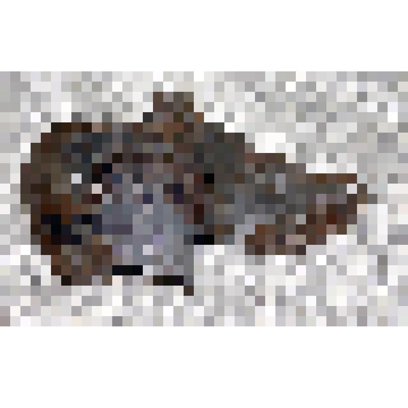 Осколок снаряда артиллерийского