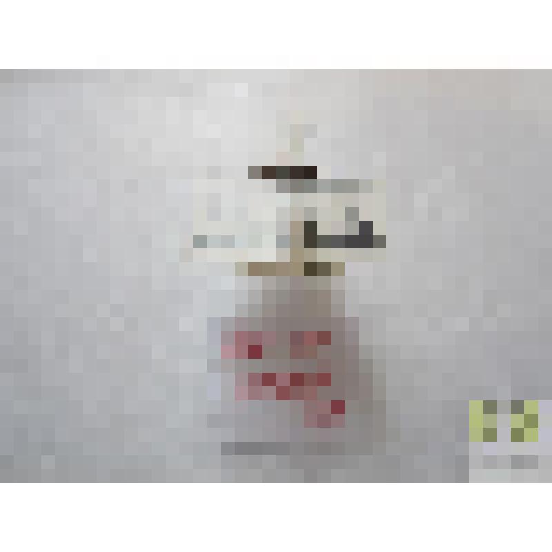 Влажник двупятнистый (Notiophilus Duft.)