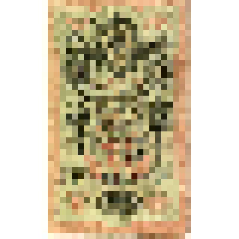 Бумажный денежный знак. Билет кредитный государственного образца. Российская империя