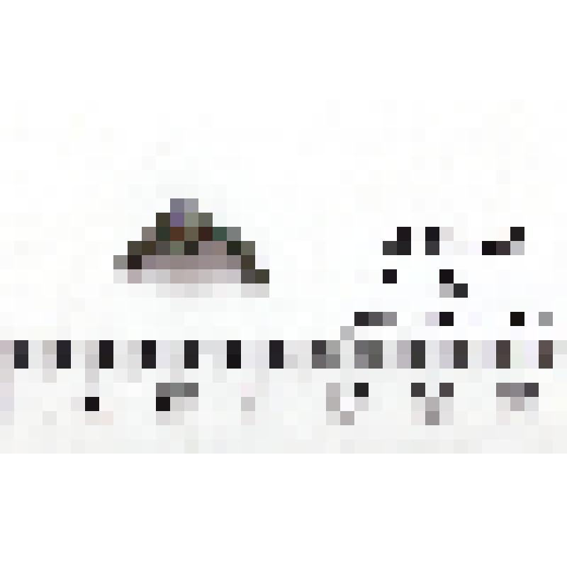 Перстень. Мх.-96, п.- 444