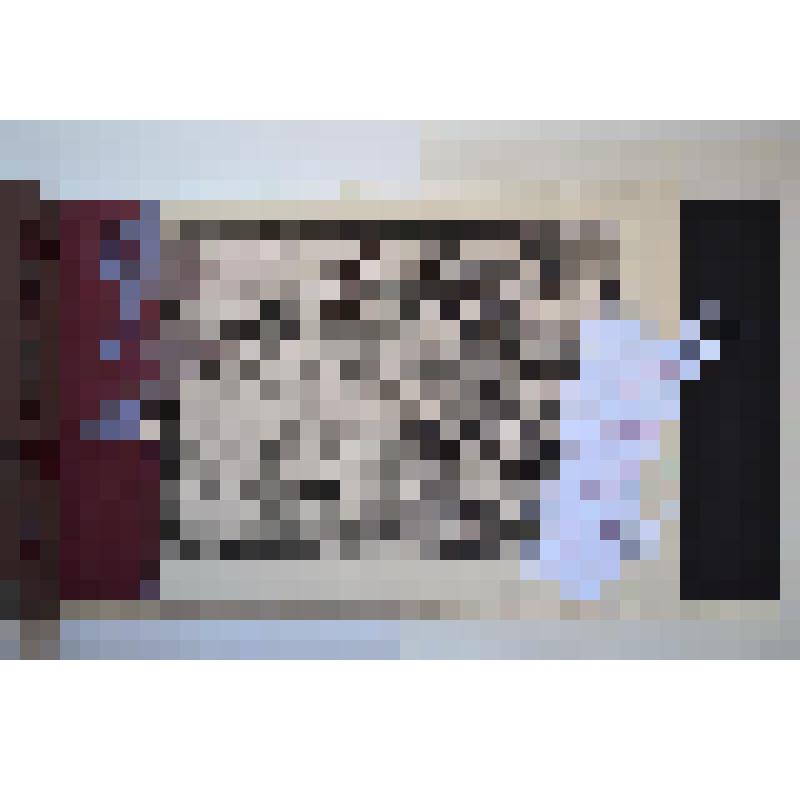 Гравюра. Книга художника «Достопамятное видение». Лист №6. Всадник. Из книги художника «Достопамятное видение»