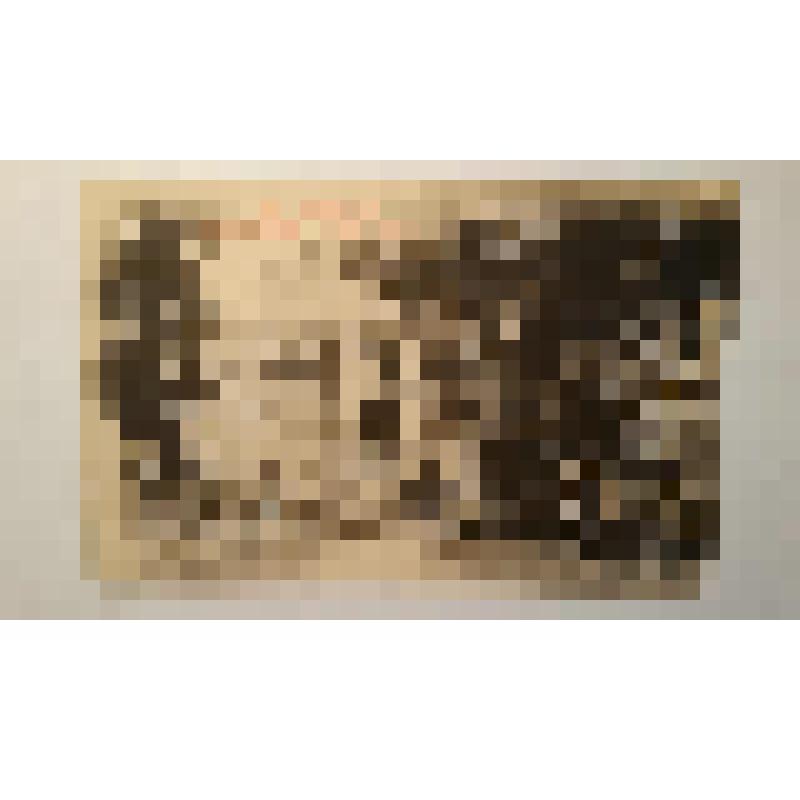 Аскольдова могила. 1810 г. Украина, г. Киев. Аскольдова могила. Меленский; Юрченко. Общий вид. Фототипия Шерер, Набгольц и Ко, Москва