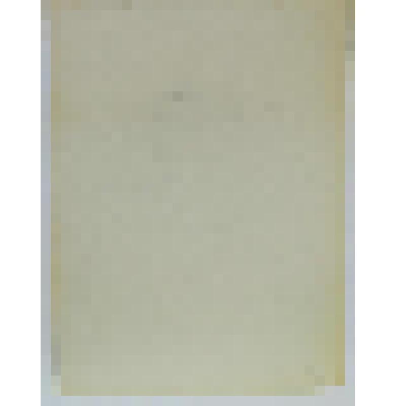 Портрет Трофимовой Е.Г