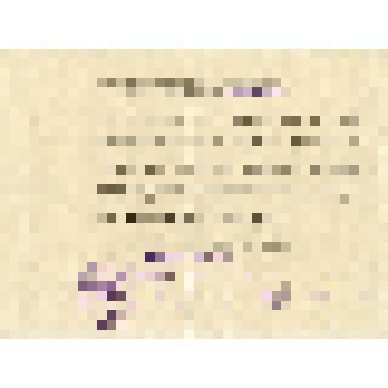 Выдержка из приветствия Ф.Э. Дзержинского А.В. Винтеру в связи с окончанием строительства Шатурской ГЭС