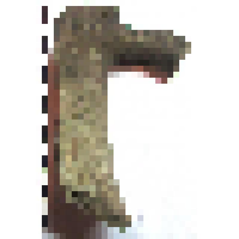 Фрагмент горла амфоры типа D с дипинто