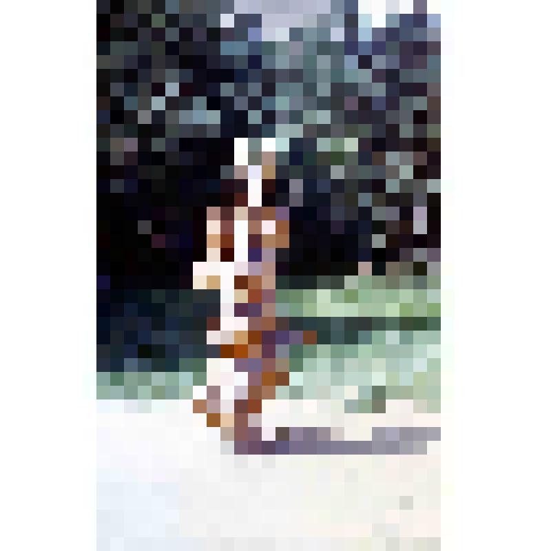 Диапозитив. Детская площадка. (340)