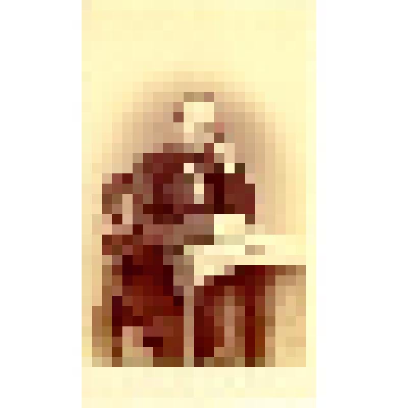 Фотография. Шрамек, капельмейстер Императорского Большого театра в Москве 1860-1870