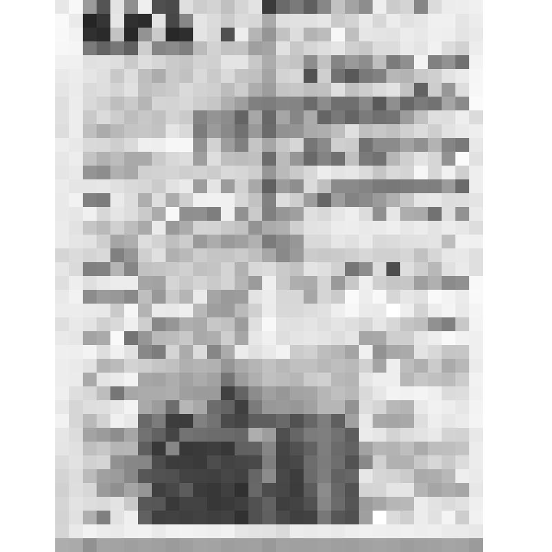 Документ. Газета "Тюменская правда" № 253 от 24 октября 1961 г. (о работе XXII съезда КПСС). Г. Тюмень