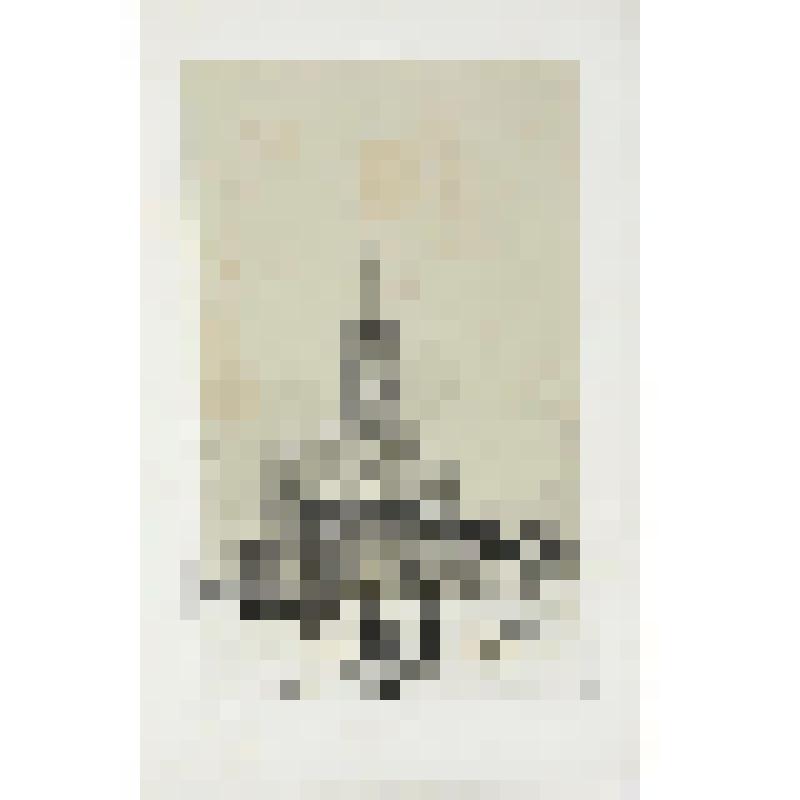 Литография. "Москва. Сухарева башня."