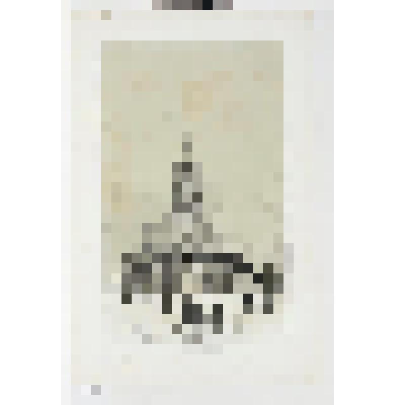 Литография. "Москва. Сухарева башня."