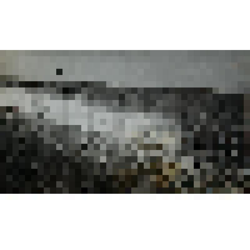 Фотография из альбома. Станица 42 фотография 145. Сочи. Берег моря