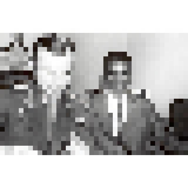 Фото. В гостях у первого космонавта мира Ю.А.Гагарина чрезвычайный посол Ганы в СССР в его квартире на ст.Чкаловская Московской области