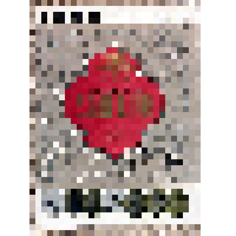 Этикетка бутылочная к вину «Узбекистон» производства Узглаввино, из коллекции этикеток бутылочных к винам кавказских  и среднеазиатских республик СССР