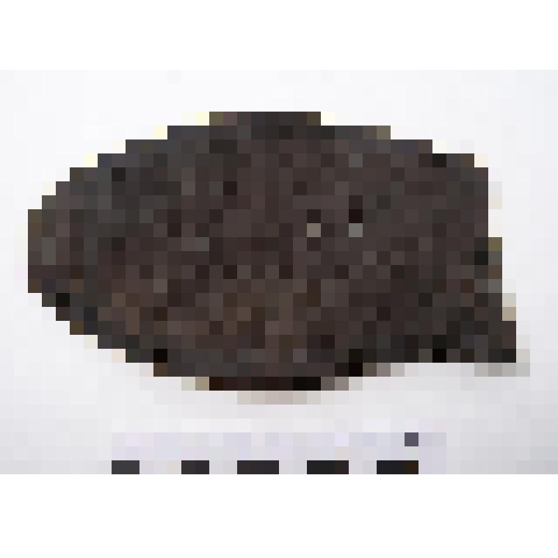 Подошвы фрагмент