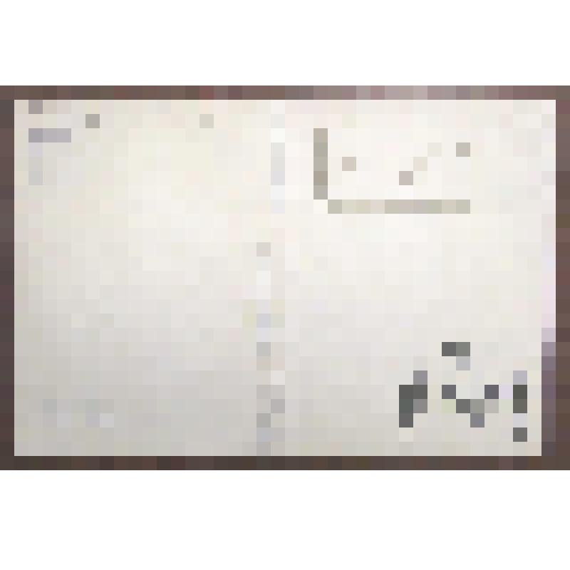 Пригласительный билет на заседание, посвященное 100-летию со дня рождения А.П.Чехова