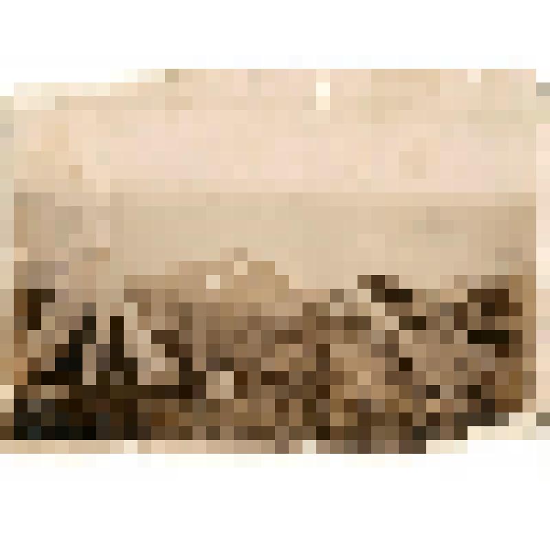 Фотография. Снаряжающийся караван