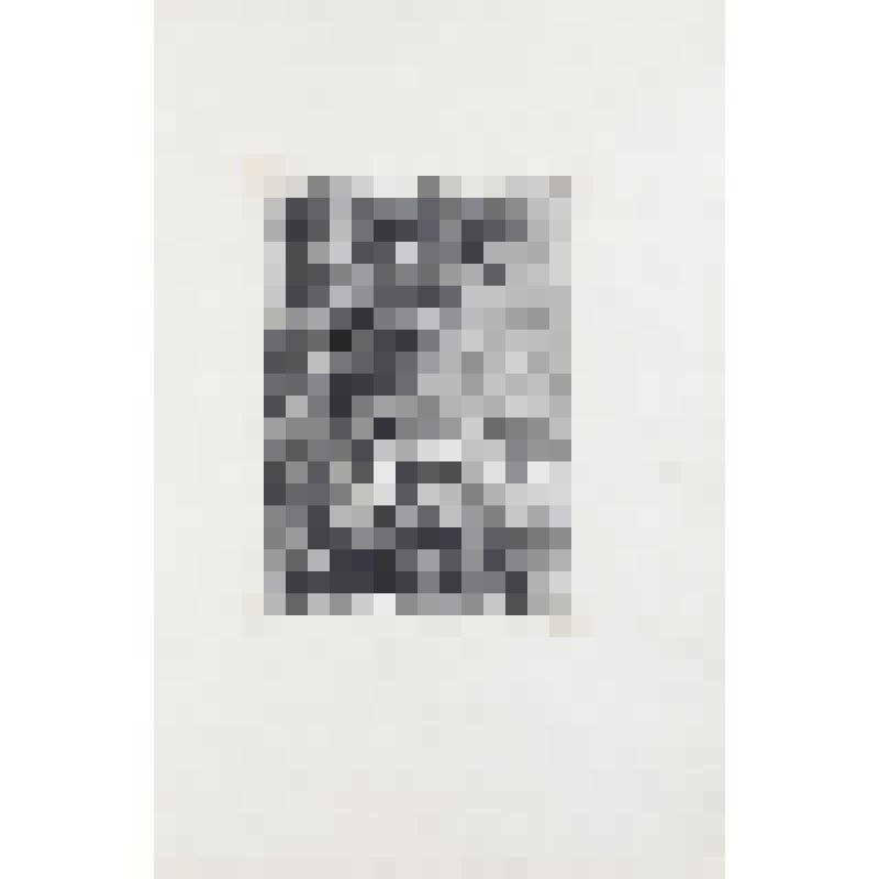 к роману Годвина "Калеб Вильямс или вещи как они есть". Гравюра