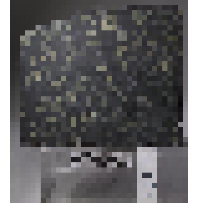 кусок пестрого мрамора(черный с зеленью)