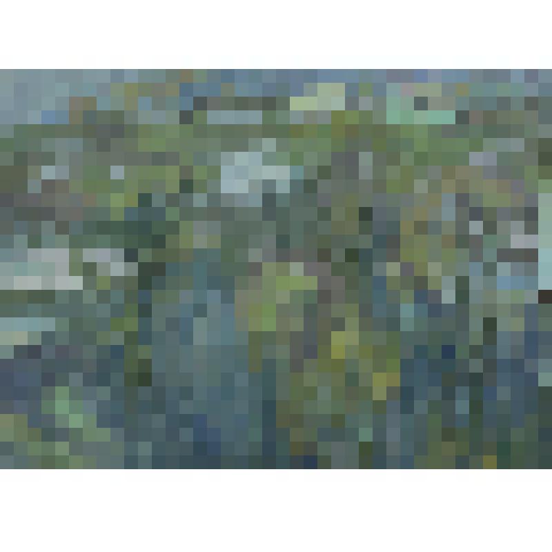 Весенний разлив