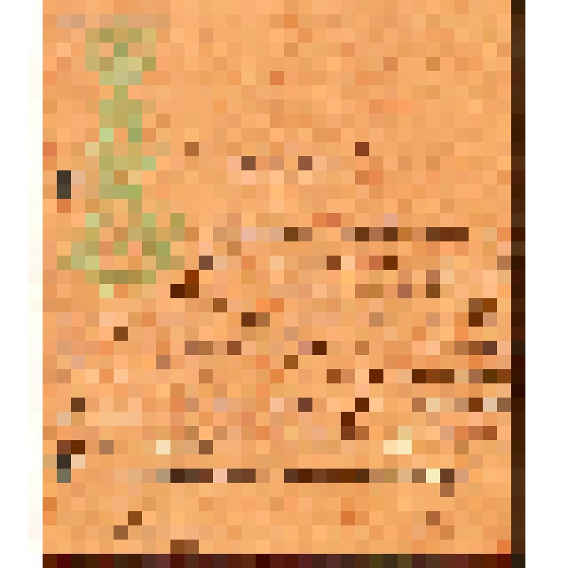 Южин (князь Сумбатов) Александр Иванович (актер, драматург, театральный деятель). Записка Кондратьеву Алексею Михайловичу шуточного характера о посылке двух галстуков. Подпись: "Знатный иностранец"