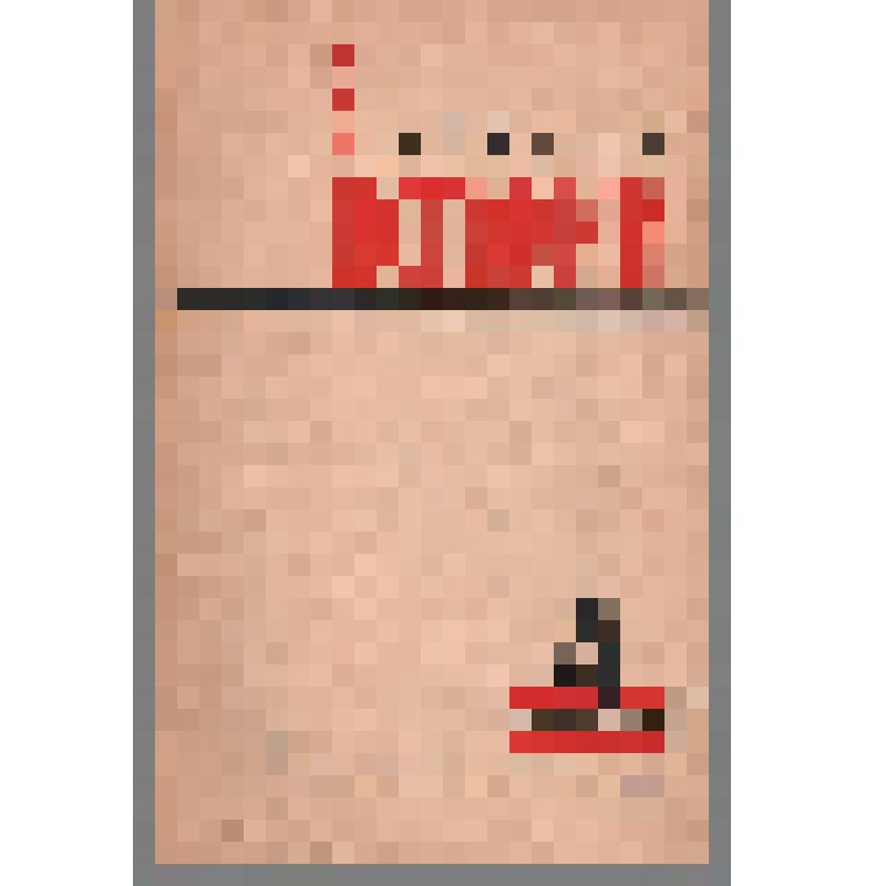 Журнал. Вопросы истории