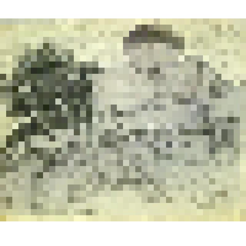 Графическая работа. Лансере Е.Е. "Мирожский монастырь"