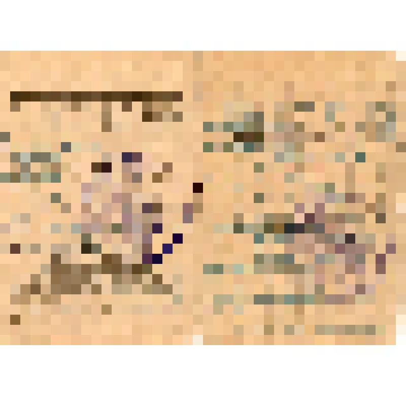 Документ. Красноармейская книжка Меринова А.И., старшины роты связи