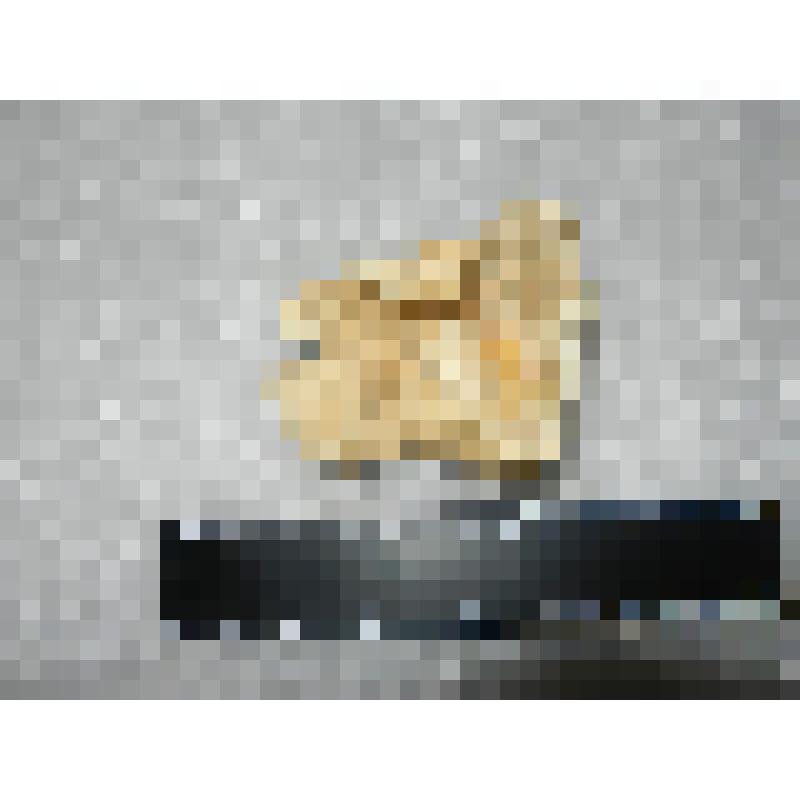 Лошадь ископаемая. Фрагмент локтевой кости. Палеонтологический образец. Мамонтовая фауна