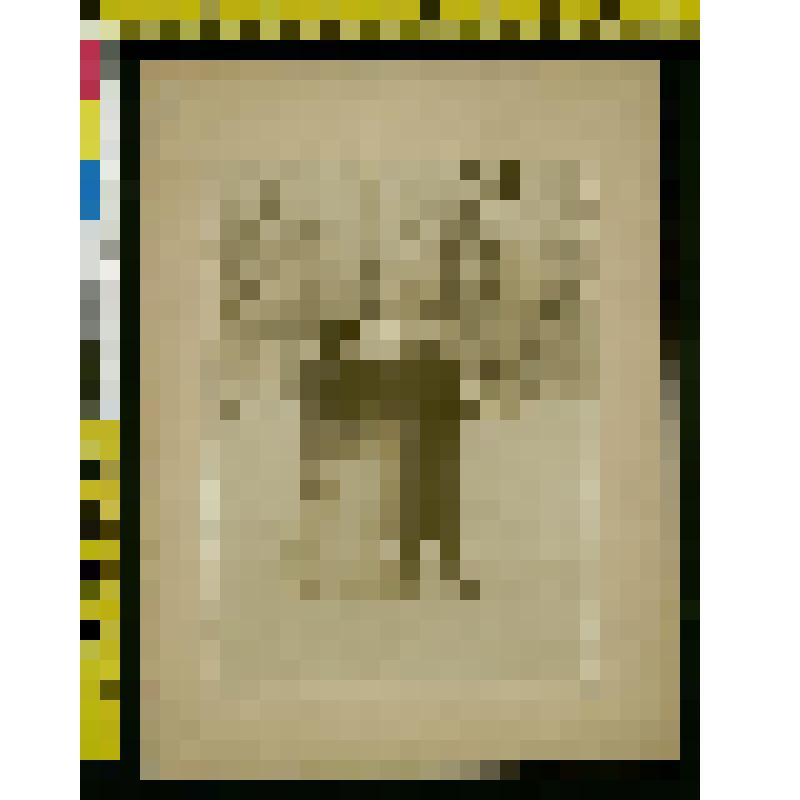 Фотография:М.Л. Толстой с женой А.В. Глебовой в саду Московской усадьбы