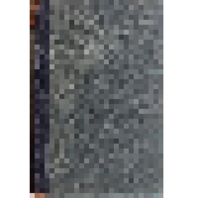 Книга. «Энциклопедический Словарь»
Начатый проф. И.Е. Андреевским, продолжается под редакцией К.К. Арсеньева и заслуженного профессора Ф.Ф. Петрушевского.
Том ХХVII А  (54 полутом)  Лит. Репина  – Рясское Россия.
Издатели: Ф.А. Брокгауз (Лейпциг), И.А. Еф