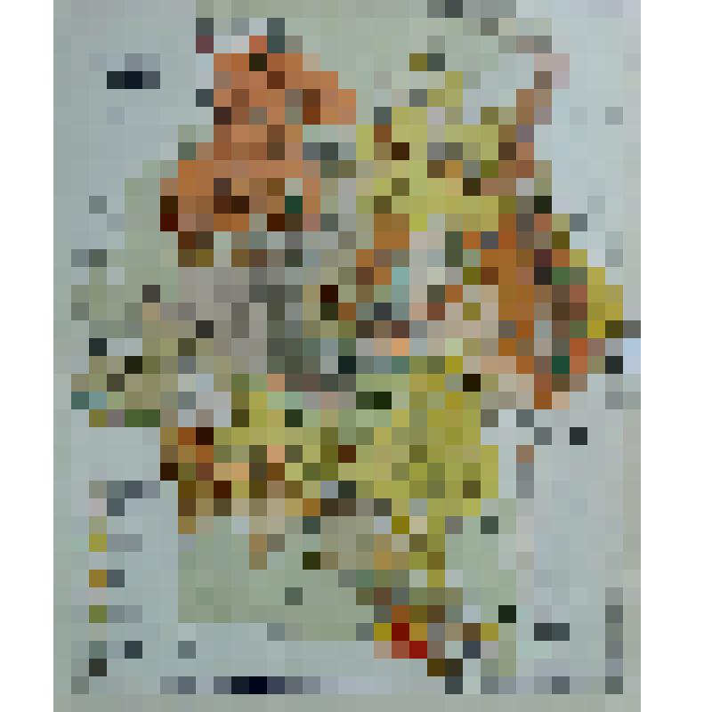 Книга. «Энциклопедический Словарь»
Начатый проф. И.Е. Андреевским, продолжается под редакцией К.К. Арсеньева и заслуженного профессора Ф.Ф. Петрушевского.
Том ХХVII А  (54 полутом)  Лит. Репина  – Рясское Россия.
Издатели: Ф.А. Брокгауз (Лейпциг), И.А. Еф